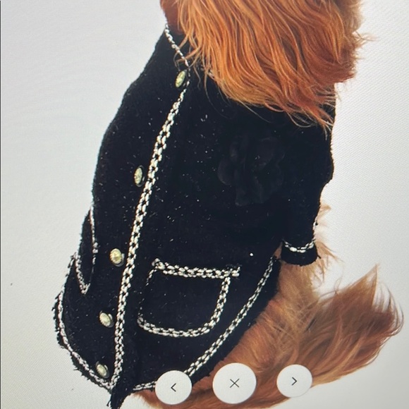 New The Dog Squad Doggie Coco Jacket - Picture 1 of 5